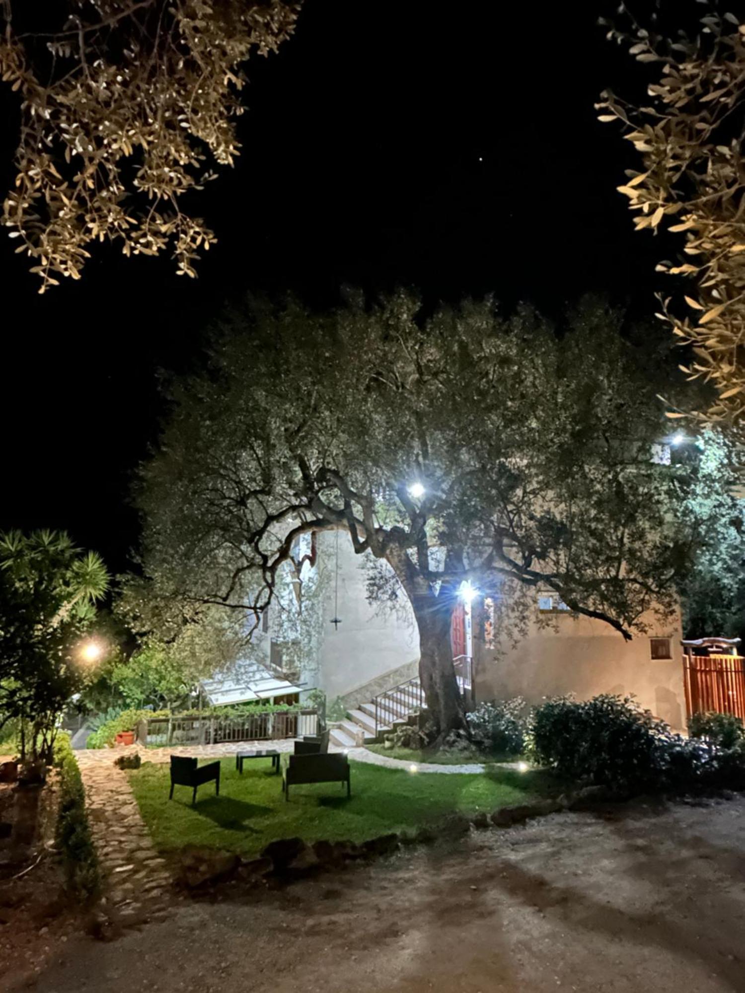 La Casa Del Maestro Attico Pisciotta Exterior foto