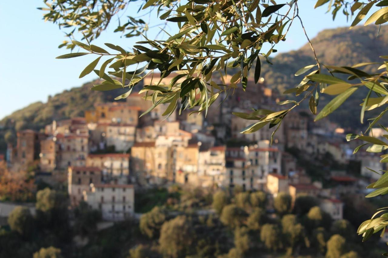 La Casa Del Maestro Attico Pisciotta Exterior foto